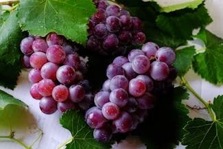 A visually appealing arrangement of grapes and leaves on a white background, showcasing the fruit's rich color and texture.