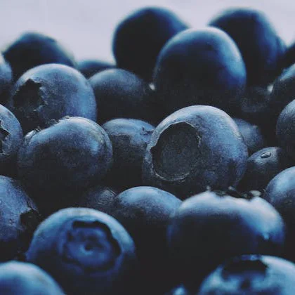 Close-up image of several blueberries, emphasizing their deep blue color and smooth, round surfaces.