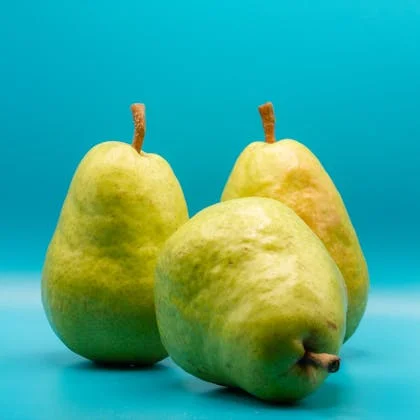 Three green pears positioned on a bright blue surface, emphasizing their texture and the vivid color combination.