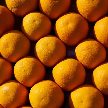 A close-up view of a cluster of vibrant tangerines, showcasing their textured skin and rich, bright color