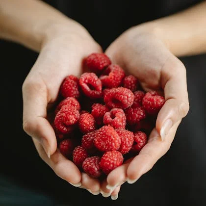 A close-up of a woman's hands gently holding fresh, vibrant raspberries.