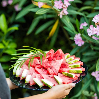 A person holds a plate filled with vibrant, fresh watermelon slices, ready to be enjoyed on a sunny day.