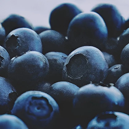 Close-up image of several blueberries, emphasizing their deep blue color and smooth, round surfaces.