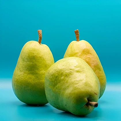Three green pears positioned on a bright blue surface, emphasizing their texture and the vivid color combination.