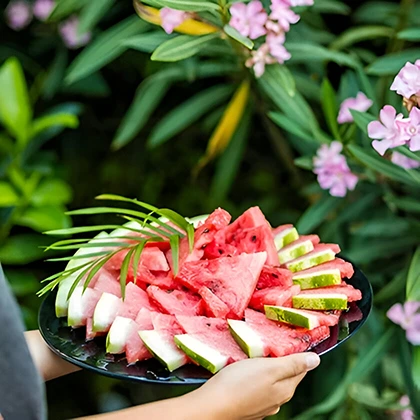 A person holds a plate filled with vibrant, fresh watermelon slices, ready to be enjoyed on a sunny day.