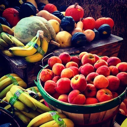 A colorful assortment of seasonal fruits arranged in a basket, emphasizing the benefits of fresh and tasty produce.