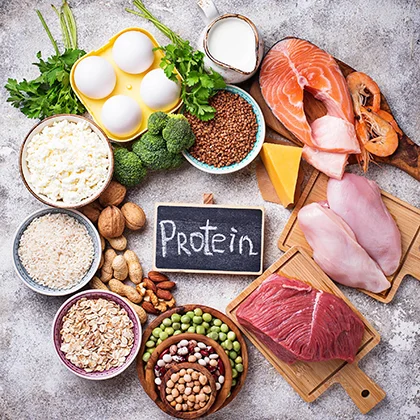 A variety of protein-rich foods and ingredients, highlighting their role in body repair and overall health benefits.