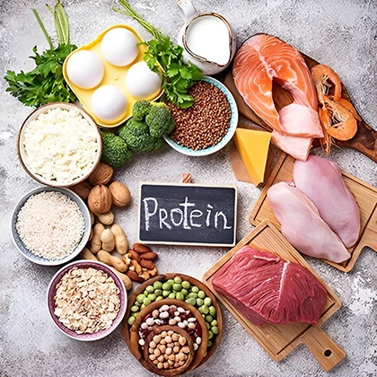 A variety of protein-rich foods and ingredients, highlighting their role in body repair and overall health benefits.