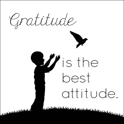 A serene landscape with the phrase 'Gratitude is the best attitude' emphasizing the power of appreciation and contentment.