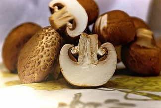 Fresh mushrooms arranged on a table, highlighting their diverse textures and earthy tones in a rustic environment.