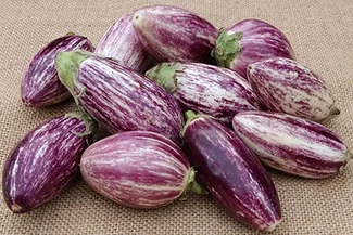 A detailed view of purple eggplant seeds, highlighting their vibrant hue and distinct shape in a natural setting.