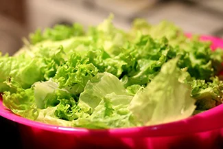 A fresh bowl of crisp lettuce, showcasing vibrant green leaves arranged neatly for a healthy meal option.