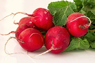 Fresh radishes arranged neatly on a white surface, highlighting their bright red skin and crisp green leaves.