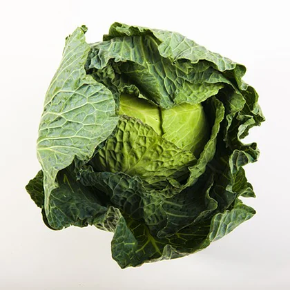 Detailed close-up of a fresh green cabbage, highlighting its layered leaves and vivid green hue against a neutral background.