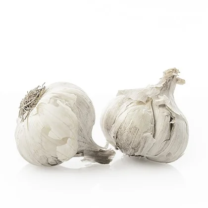 A pair of garlic bulbs resting on a white background, highlighting their distinct shapes and earthy tones.