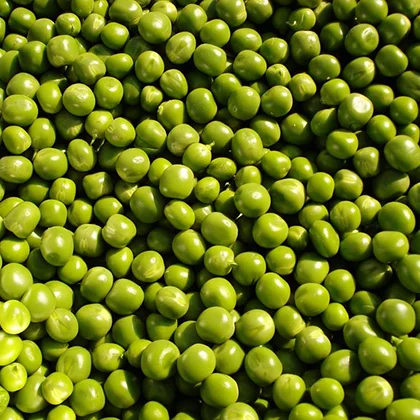 A substantial mound of green peas, highlighting their rich green hue and plump, round shape.