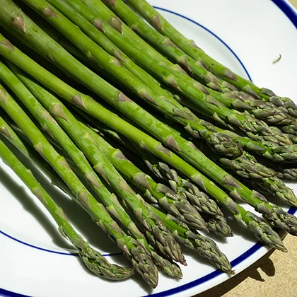 A serving plate showcasing a generous portion of bright green asparagus, elegantly arranged for a meal.