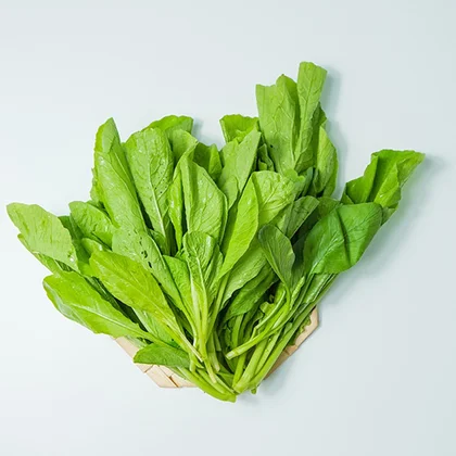 A cluster of lush spinach leaves, displaying their deep green hue and crisp texture, symbolizing freshness and nutrition.