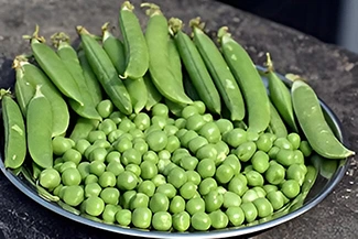 A plate overflowing with fresh green peas, emphasizing their rich color and inviting look, perfect for a healthy meal.