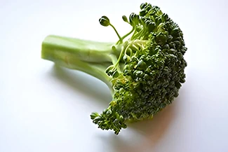 A single piece of broccoli, featuring bright green florets atop a thick stem, representing healthy and nutritious vegetables.