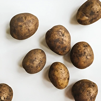 A collection of fresh potatoes arranged on a clean white background, showcasing their natural texture and color.